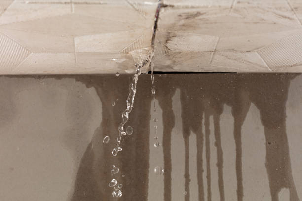 Professional Structural Drying technician working in Murray, NE
